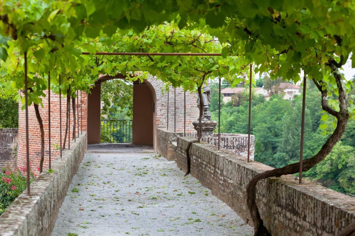 Appartement Albi Parking Gratuit Kültér fotó